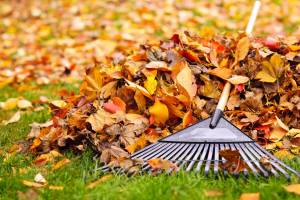 entretien jardin feuilles rateau